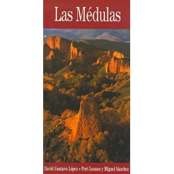 LAS MÉDULAS