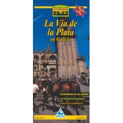 LA VÍA DE LA PLATA EN GALICIA