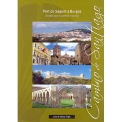 CAMINOS A SANTIAGO. PORT DE...