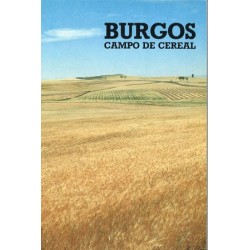 BURGOS. CAMPO DE CEREAL.
