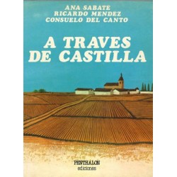 A TRAVÉS DE CASTILLA....