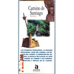 CAMINO DE SANTIAGO.