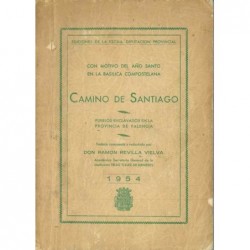 CAMINO DE SANTIAGO.