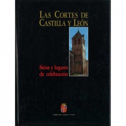 LAS CORTES DE CASTILLA Y LEÓN.