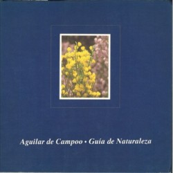 AGUILAR DE CAMPOO.