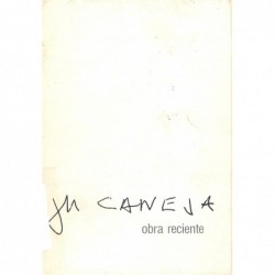 JM CANEJA. OBRA RECIENTE