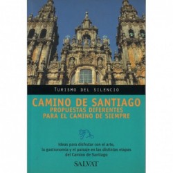 CAMINO DE SANTIAGO....